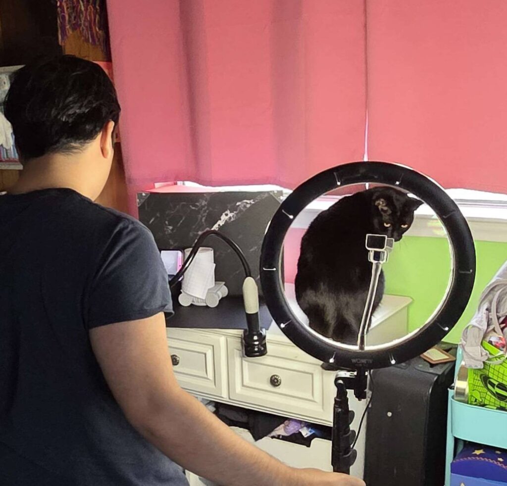 owner taking photos of products with cat helping out